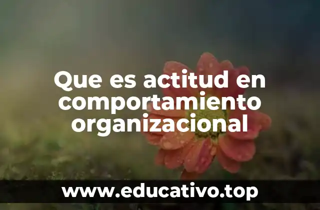 Que es actitud en comportamiento organizacional