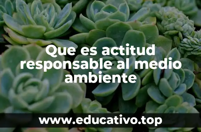 Que es actitud responsable al medio ambiente