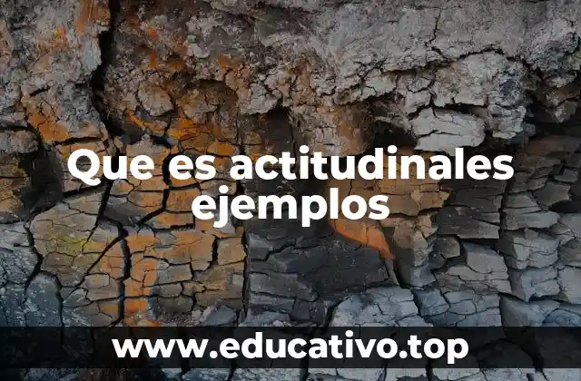 Que es actitudinales ejemplos