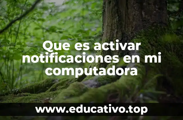 Cómo las notificaciones mejoran la experiencia del usuario