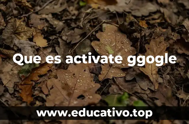 Que es activate ggogle