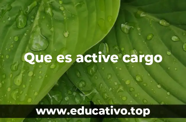 Que es active cargo