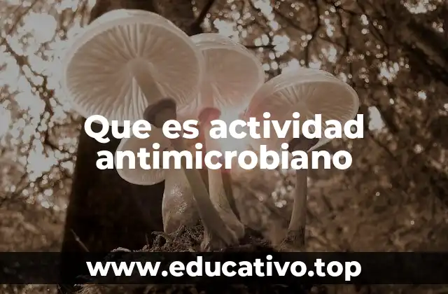 Que es actividad antimicrobiano