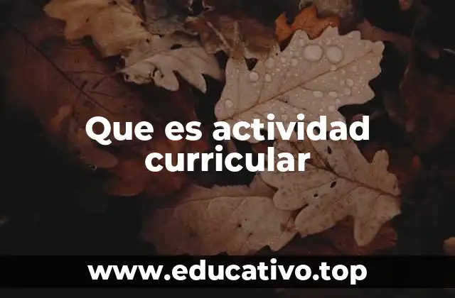 Que es actividad curricular