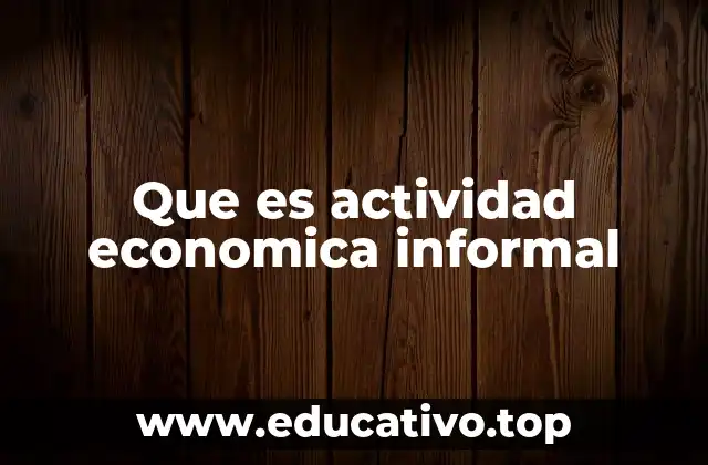 Que es actividad economica informal