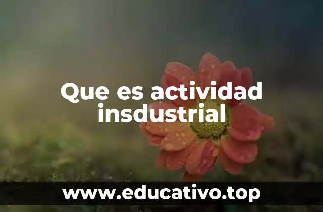 Que es actividad insdustrial