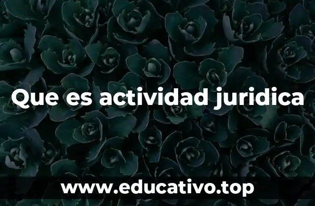 Que es actividad juridica