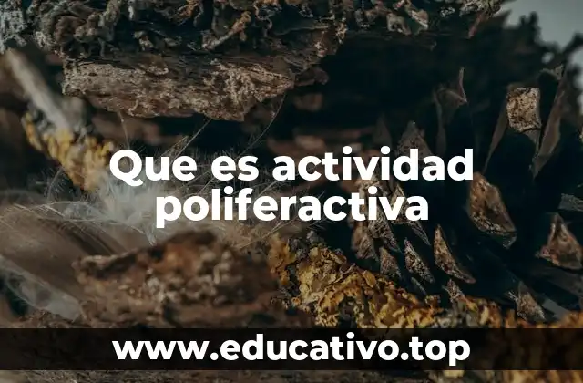 Que es actividad poliferactiva
