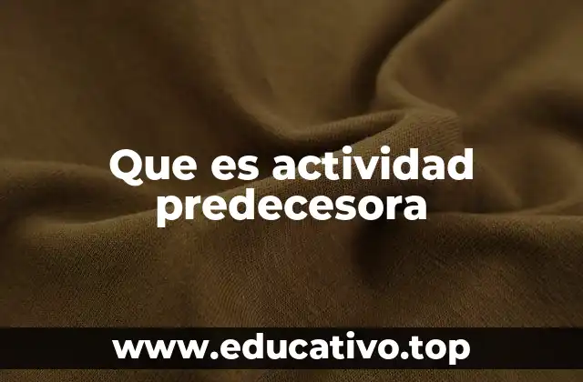 Que es actividad predecesora
