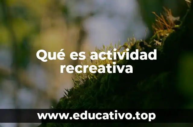 Qué es actividad recreativa