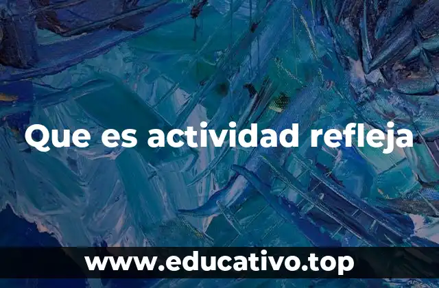 Que es actividad refleja