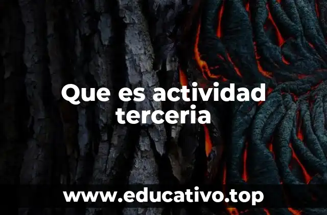 Que es actividad terceria