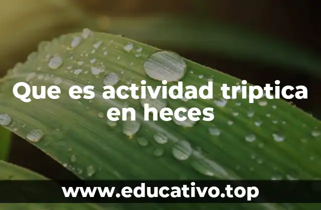 Que es actividad triptica en heces