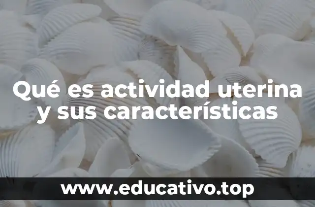 Qué es actividad uterina y sus características