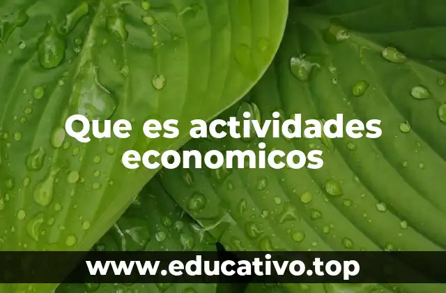 El rol de las actividades económicas en la sociedad