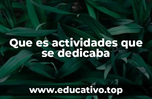Que es actividades que se dedicaba