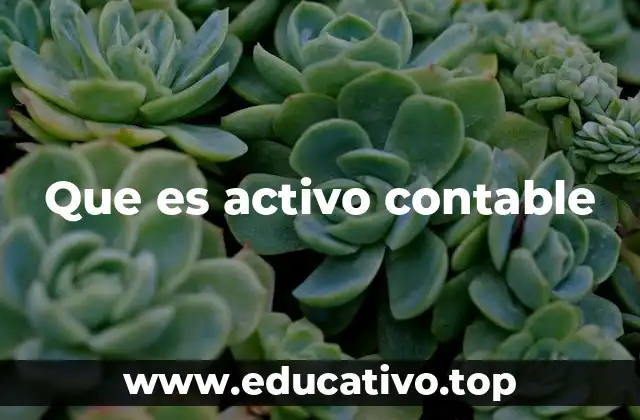 Que es activo contable