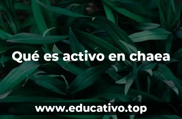 Qué es activo en chaea