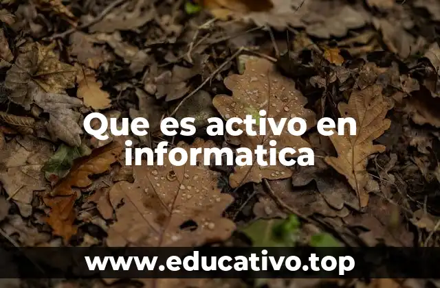 Que es activo en informatica