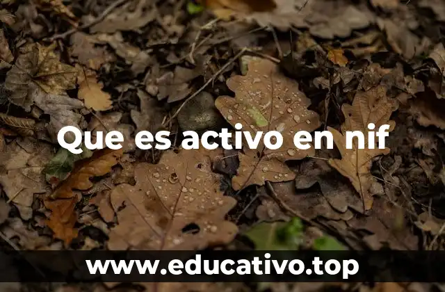 Que es activo en nif