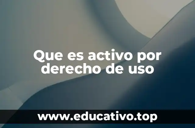 Que es activo por derecho de uso