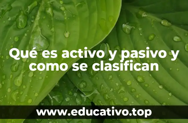 Qué es activo y pasivo y como se clasifican