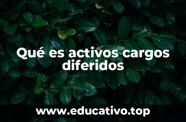 Qué es activos cargos diferidos