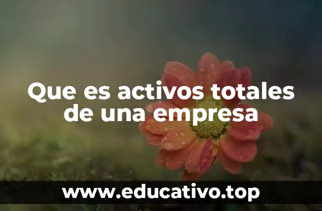 Que es activos totales de una empresa