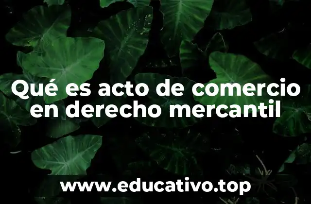 Qué es acto de comercio en derecho mercantil
