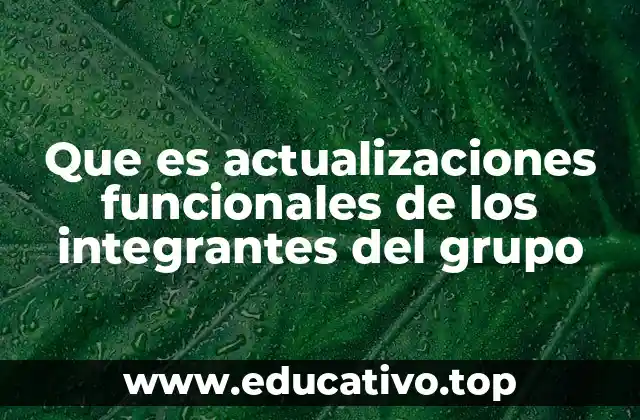 Que es actualizaciones funcionales de los integrantes del grupo