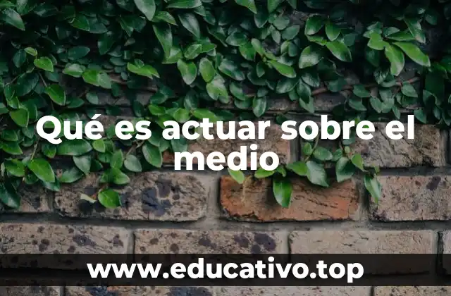 Qué es actuar sobre el medio