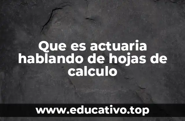 Que es actuaria hablando de hojas de calculo