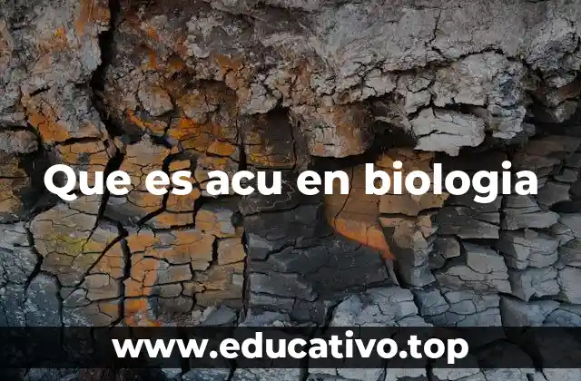 Que es acu en biologia