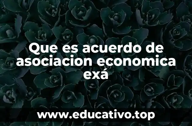 Que es acuerdo de asociacion economica exá