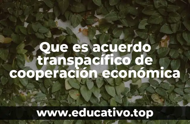 Que es acuerdo transpacífico de cooperación económica