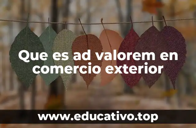 Que es ad valorem en comercio exterior
