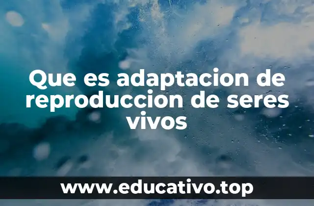 Que es adaptacion de reproduccion de seres vivos