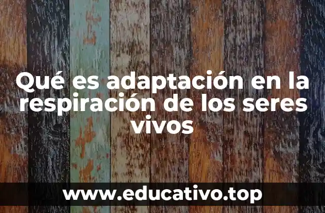 Qué es adaptación en la respiración de los seres vivos