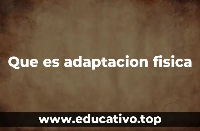 El proceso del cuerpo al enfrentar un estímulo físico