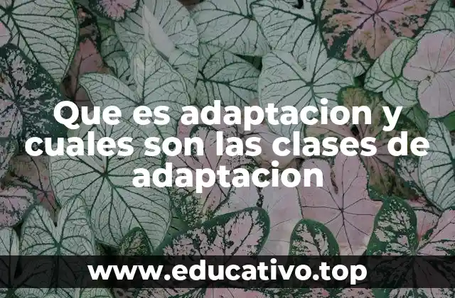 Que es adaptacion y cuales son las clases de adaptacion