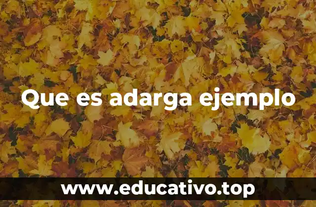 Que es adarga ejemplo