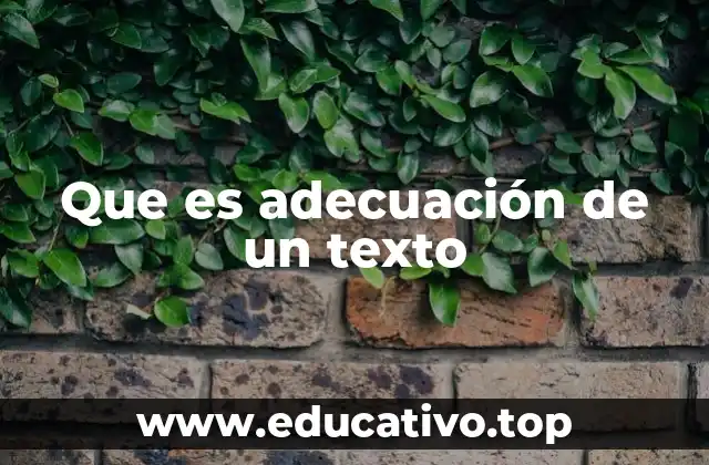 Que es adecuación de un texto