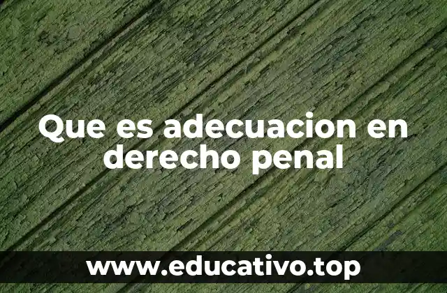 Que es adecuacion en derecho penal