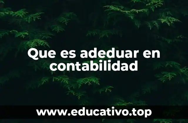 Que es adeduar en contabilidad