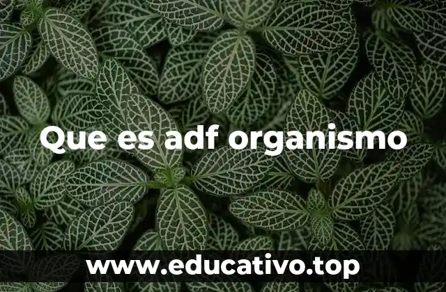 Que es adf organismo