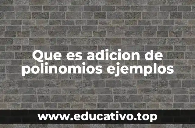 Que es adicion de polinomios ejemplos