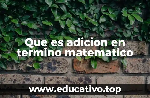 Que es adicion en termino matematico