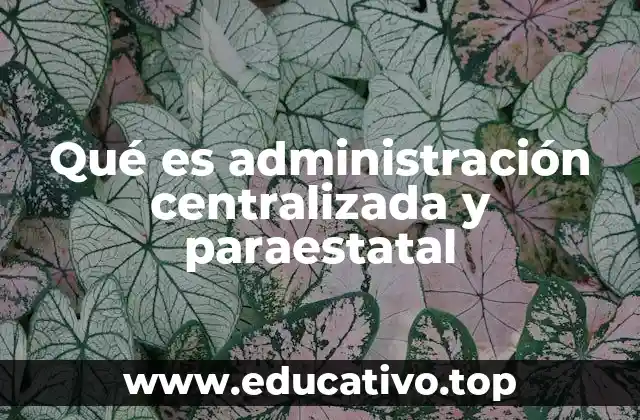 Qué es administración centralizada y paraestatal