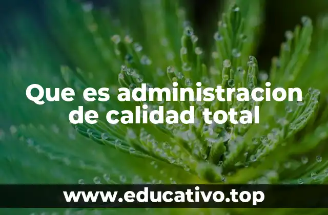Que es administracion de calidad total