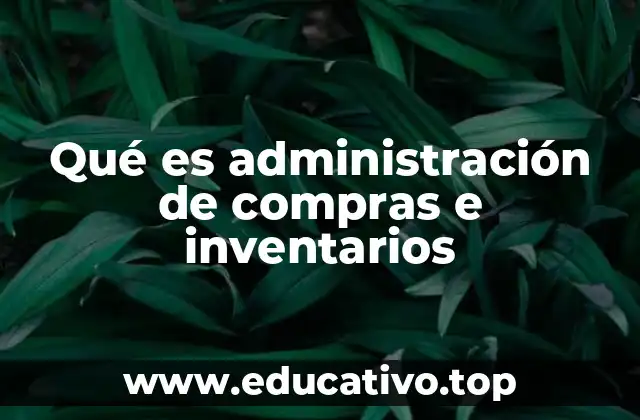 El impacto de la eficiencia en el flujo de materiales